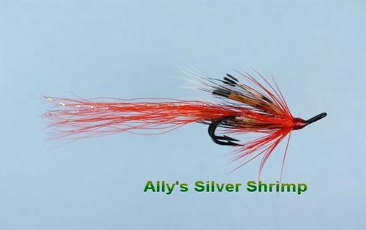 Ally's Shrimp Silver